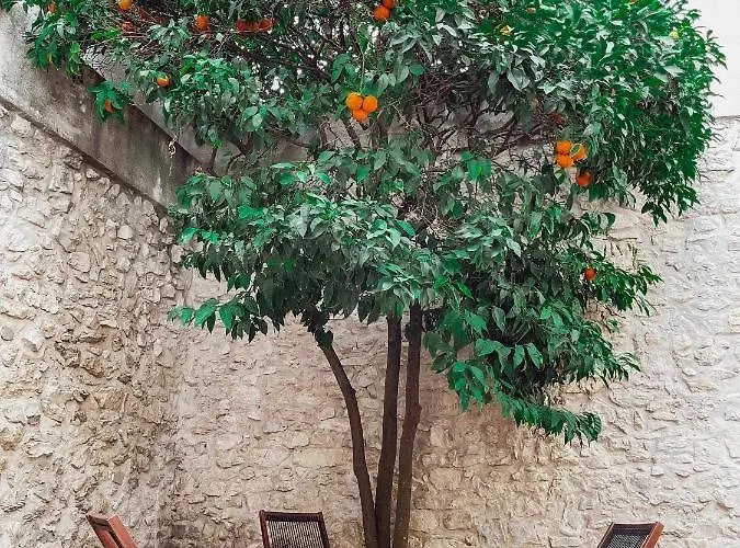 L Oranger - Plein Centre - 6 Personnes - Clim Holiday home